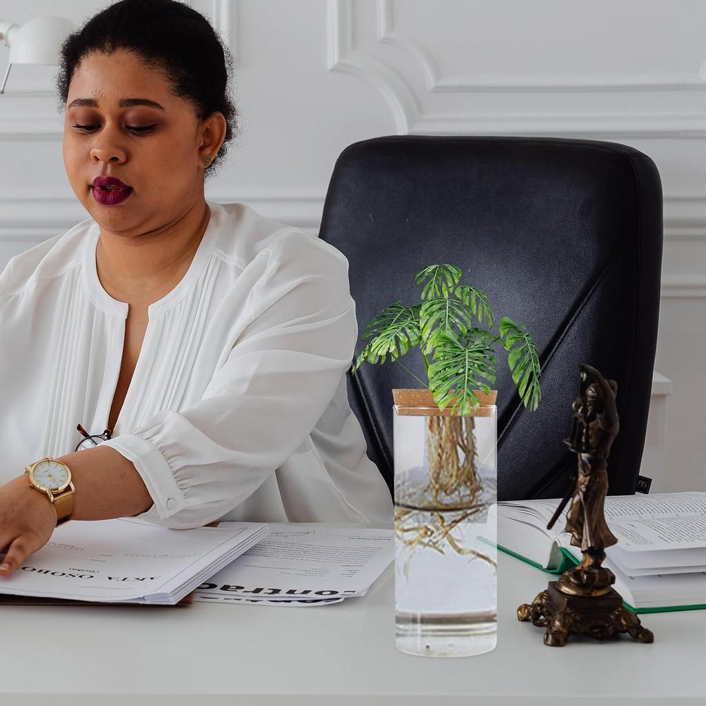 Hydroponic Plant Bottle, 8.21x3.34in Plant Vase Micro Landscape Bottle, Hydroponic Vase Plant Empty Glass Bottle, Water Flower Pot Container with