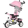 Evolutionary Tricycle, 12+ Months, Foldable Canopy, Telescopic Push Handle, Safety Belt, Pink