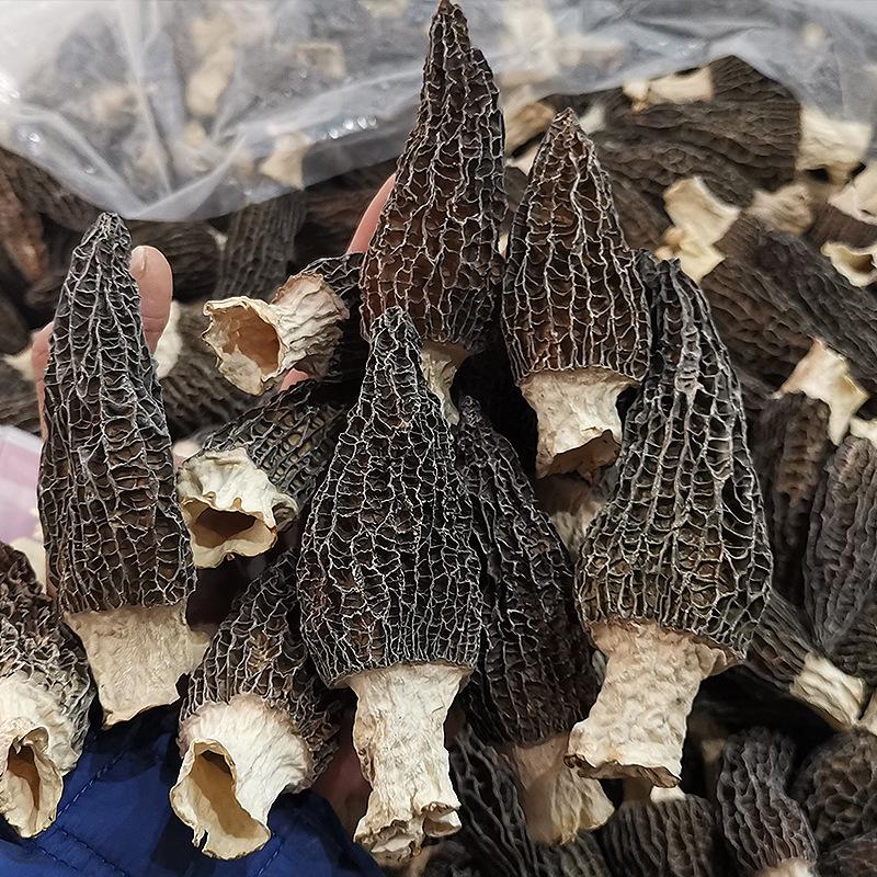 Yunnan Origin First Flush Dried Morel with Cut Stems - Edible Dried Morel