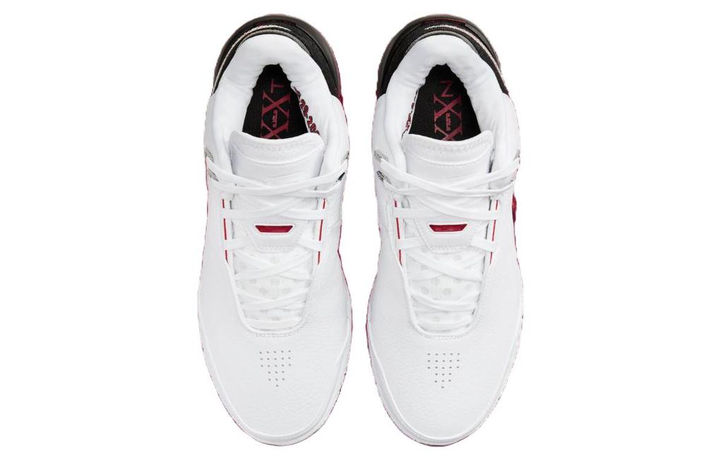 Nike LeBron NXXT Gen "First Game" FJ1566-100