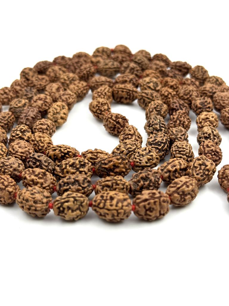 Natural 3 Mukhi Rudraksha Mala 108+1 Beads – Certified Authentic Nepali Prayer Beads for Meditation, Healing, and Spiritual