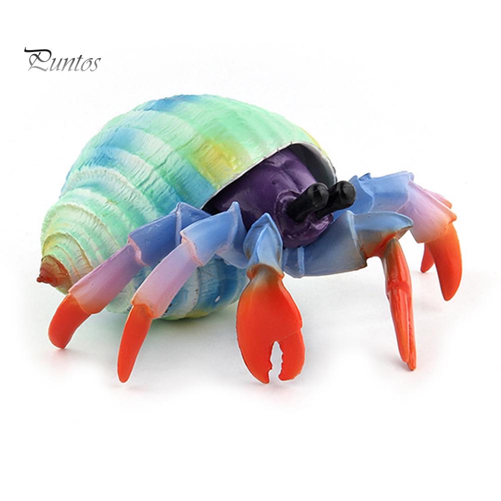 Puntos Kids Toy Simulation Hermit Crab Marine Animal PVC Model Desktop Decor Education