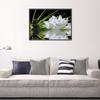 White Lotus 5D DIY Diamonds Mosaic Painting Partial Round Drill Rhinestones Paintings Crystal Creative Handmade Wall Decoration