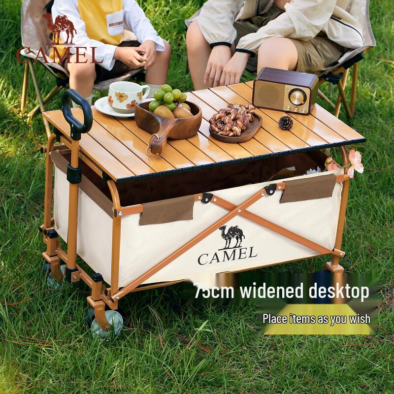 CAMEL Portable Camping Foldable Roll-Up Table