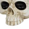 Resin Skull Shaped Flower Pot Gothic Succulent Planter Holder Ornament for Home Office Decor