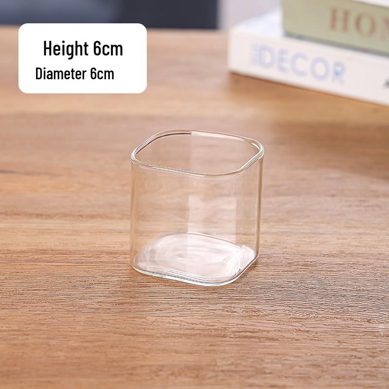 Квадратная стеклянная ваза для гидропонных цветов – Маленькая, свежая и креативная декорация из сухоцветов для гостиной.