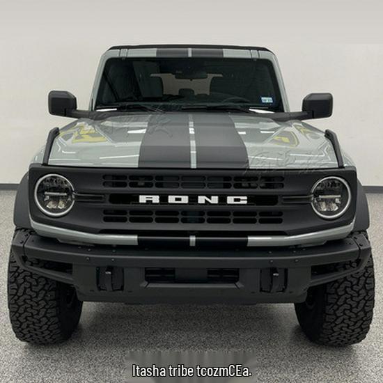 Bronco Wild Horse Car Hood & Pinstripe Stickers for Decoration & Modification