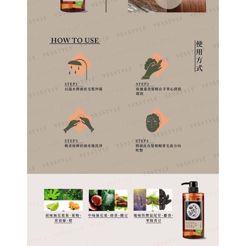 SOFNON - Tsaio Wen Shan Pouchong Teeölkontrolle Shampoo
