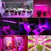 1-5Pcs T5 LED Plant Growth Lamp Bar 110V 220V 30CM Full Spectrum Hydroponic Vegetable Grow Light for Greenhouse Cultivation