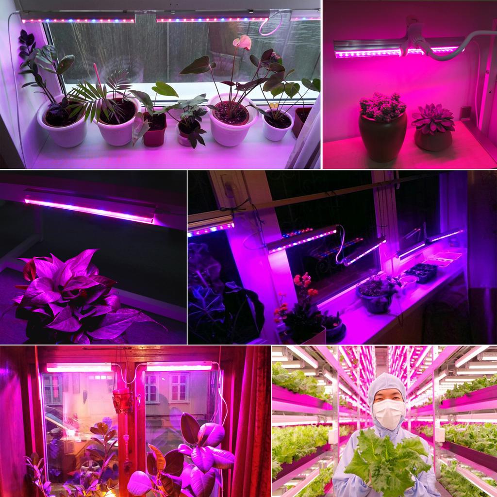 1-5Pcs T5 LED Plant Growth Lamp Bar 110V 220V 30CM Full Spectrum Hydroponic Vegetable Grow Light for Greenhouse Cultivation