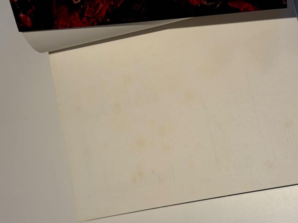 [USED] [Rare] Yukio Nakagawa Glass Calligraphy: The Shape of Life