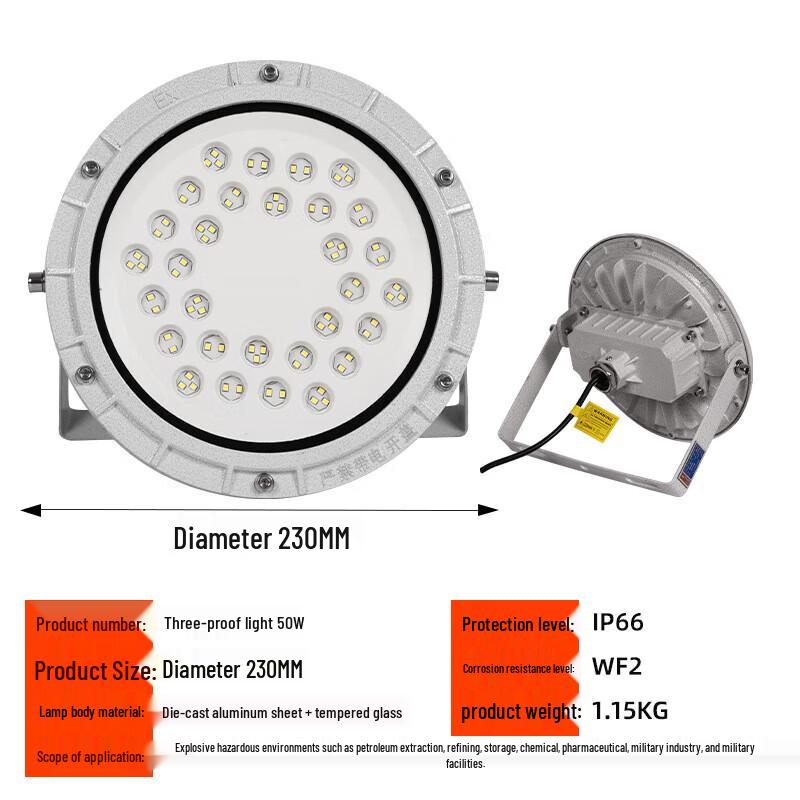Xingpuhui LED Explosion-Proof Workshop Light
