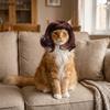 Adjustable Cat Short Curly Hair Lightweight Pet Costume Wigs Pet Wigs  Photography Props