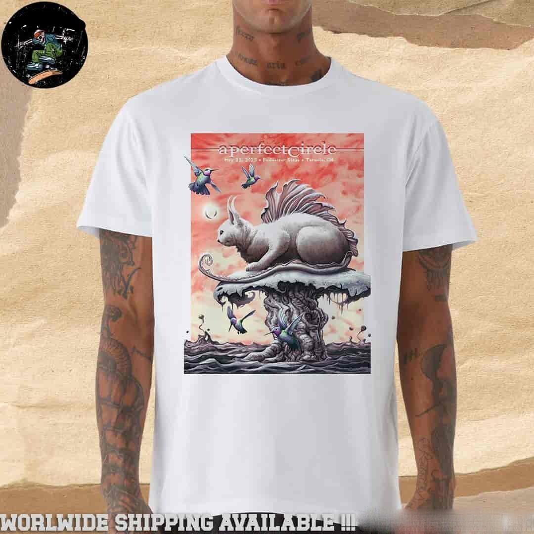 A Perfect Circle Sessanta V2.0 Shirt In Toronto On May 22 2026 Merch Unisex Tee L