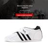 Dracula Taekwondo & Martial Arts Training Shoes
