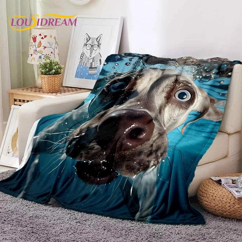 Cute Dog Samoye, Chihuahua, Husky, Koki Cartoon Soft Flannel Blanket for Beds Bedroom Sofa Picnic,Throw Blanket Outdoor Leisure