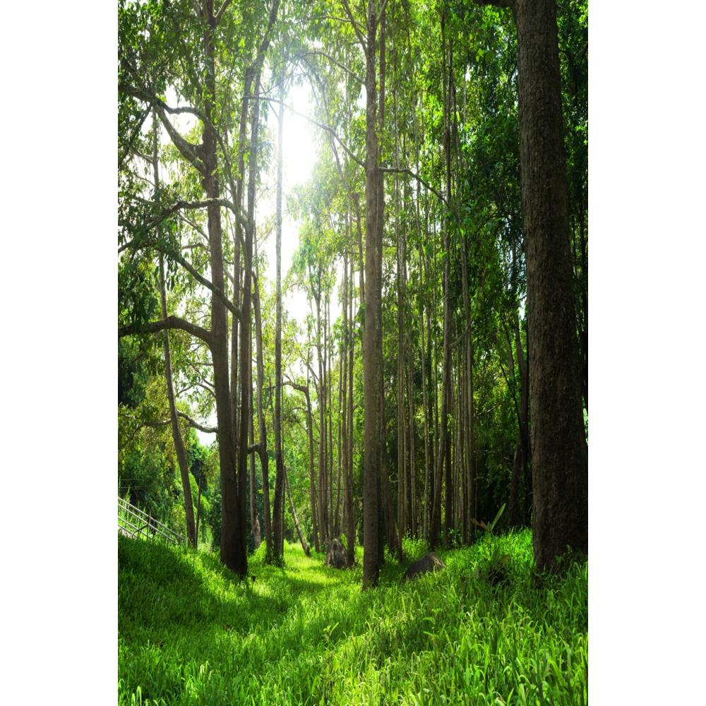Spring Natural Scenery Forest Photography Backdrop Tropical Jungle Green Forest Tree Adventure Baby Portrait Photo Background