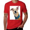 Greyhound - Galgo Espa?ol T-Shirt Vintage-Kleidung Oversizeds Unifarben Herren Große Größen T-Shirts