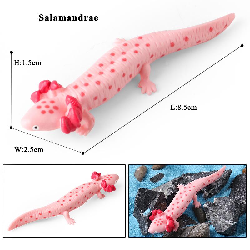 Oenux Ocean Starfish Sea Anemone Coral Jellyfish Squid Shrimp Crab Shark Animals Model Action Figures PVC Miniature Kid Toy Gift