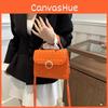 Chic Street Style 2024 Latest Spring Casual Crossbody Handbag Single Shoulder Small Square Bag