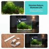Efficient Fish Tank Lighting with USB LED Promotes Aquatic Plant Health