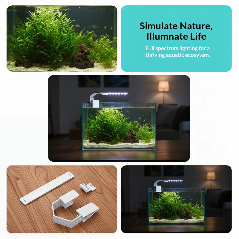 Efficient Fish Tank Lighting with USB LED Promotes Aquatic Plant Health