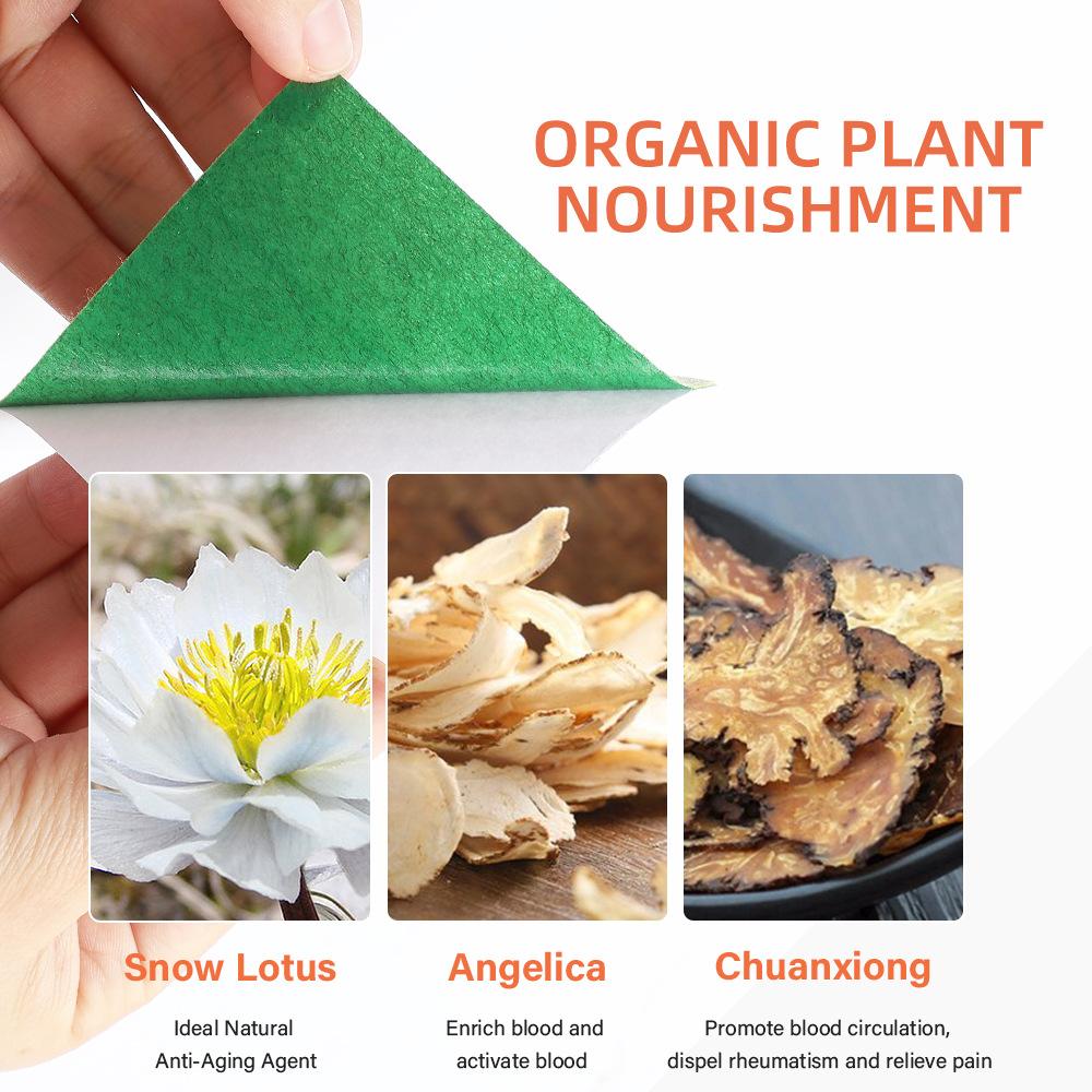 2023 6 Teile/beutel Gesichtslähmung Ziehen und Kleben von Akupunkturpunkten, Massieren der Gesichtssteifheit und Entsperren der Meridiane, Frauen Männer, Gesundheitsfürsorge