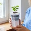 12 Pcs Clear Nursery Planter 2 Inch Self Watering Planter Nursery Pots With Humidity Dome Adjustable Vent Cultivation Box Set