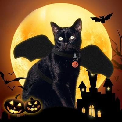 Cat Leash Set with Pumpkin Bell Halloween Black Bat Pet Leash Cat Leash Comfortable To Wear Without Restraint for Kitten Cat