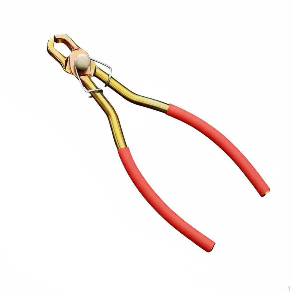 Conifer Nut Sheller LaborSaving Kernel Opener Tool Versatile Shelling Pliers for Home