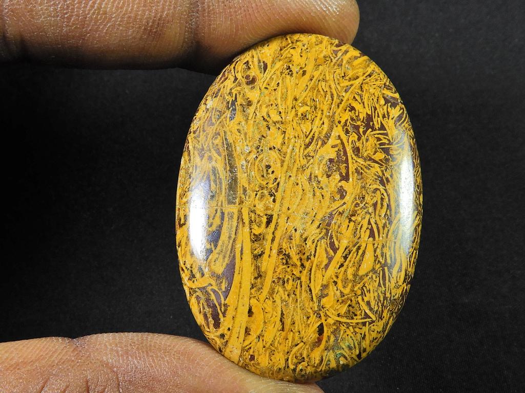 72Cts?AAA Natural Marium Fossil Multi Color Healing Rare Gemstone 31X46X5 MM SK-1094