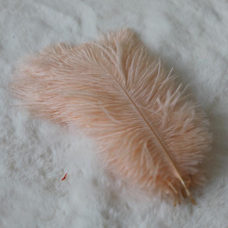 24 Colors 15-20Cm Ostrich Feather, Hotel Wedding Window Home Decoration Ostrich Feather