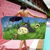 Kreslený T-Totoro Mikrovlákno Tištěný Plážový Ručník Horolezectví Jóga Pláž Koupání Běh Absorpční Měkký Ručník
