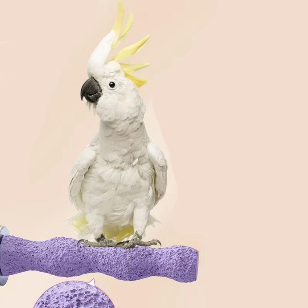 Non-slip Paw Grinding Sticks Resin Jumping Platform Bird Teeth Chew Toy Pet Bird Supplies