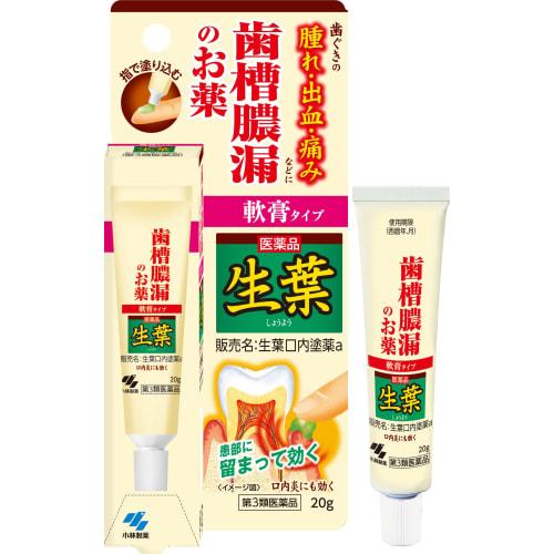 

[Безрецептурный препарат третьего класса] Мазь для полости рта из свежих листьев 20 г