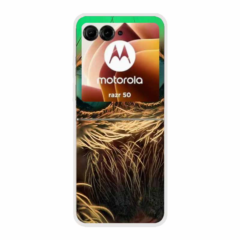For Motorola Razr 50 Ultra Cases Clear Hard Plastic PC Back Cover Phone Cases For Motorola Razr 50 Transparent Funda Phone Cases Moto Razr 50