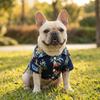 Navy Blue Dog Hawaiian Shirt Lightweight Dog Beach Outfit Pineapple Print Shirt Holiday Gathering