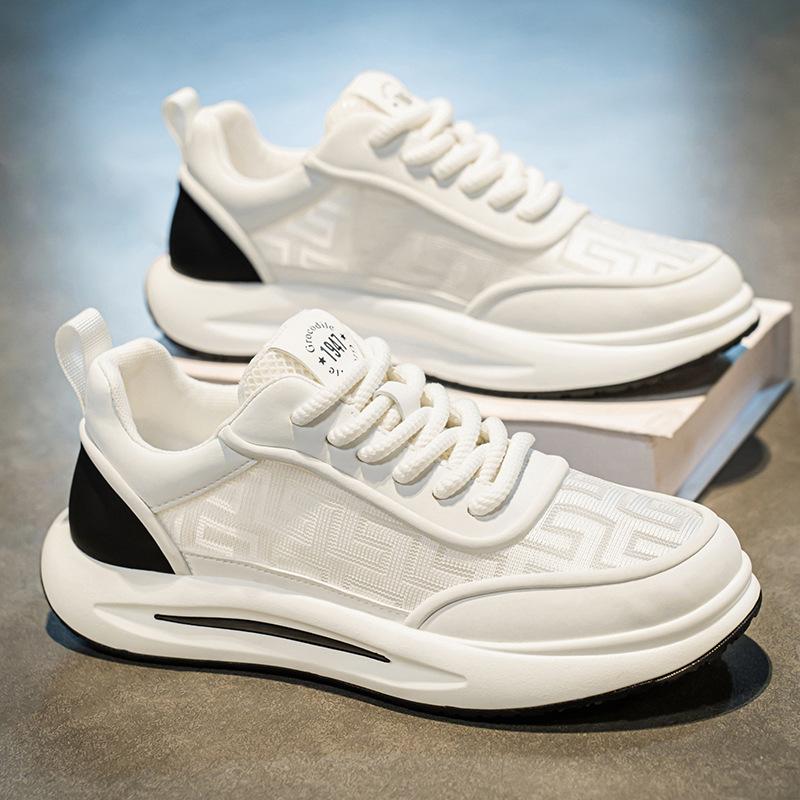 Men's Shoes New Spring and Summer Breathable Ice Silk Mesh Casual Board Shoes Light Soft Sole Low-top Men