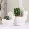 Plant Pot Eye-catching Toilet Shape Ceramic Flower Pot with Drain Hole for Home