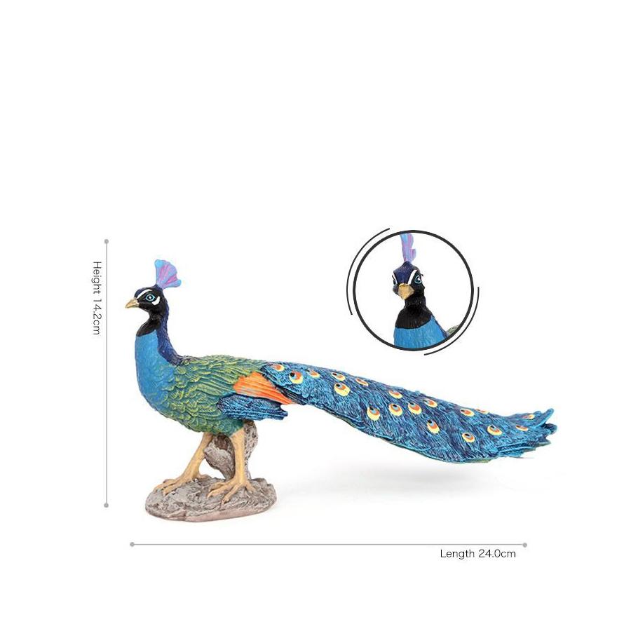Realistic Plastic Farm Life Peacock Toy Figure Authentic Hand Painted Bird Model Figurine Fun Collectible Educational Play Toys