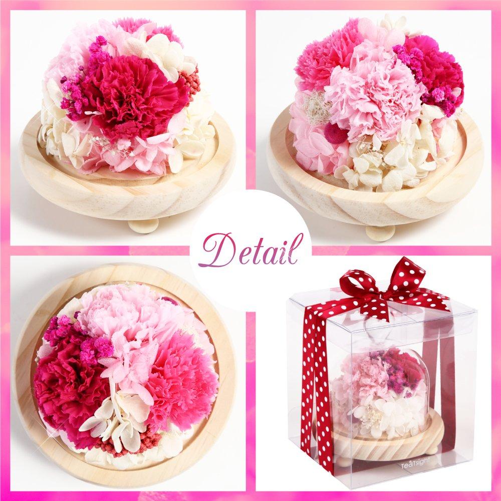 Teatsite Preserved Flower Arrangement, Pre-Wrapped, Heart-Shaped Glass Pot, 3 Flowers (Pink Carnations, Bear Towel Included)