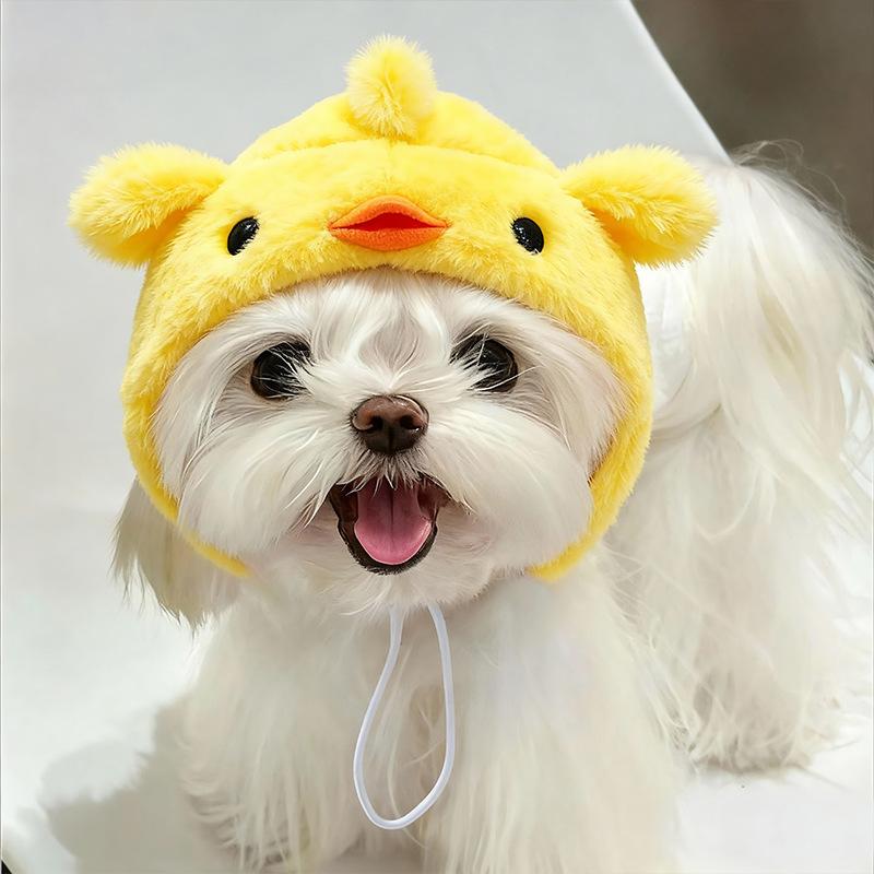 Cute and funny cat costume hat, pet hat, golden gradient British Shorthair, German Shepherd, dog, chick headgear, cartoon headwear