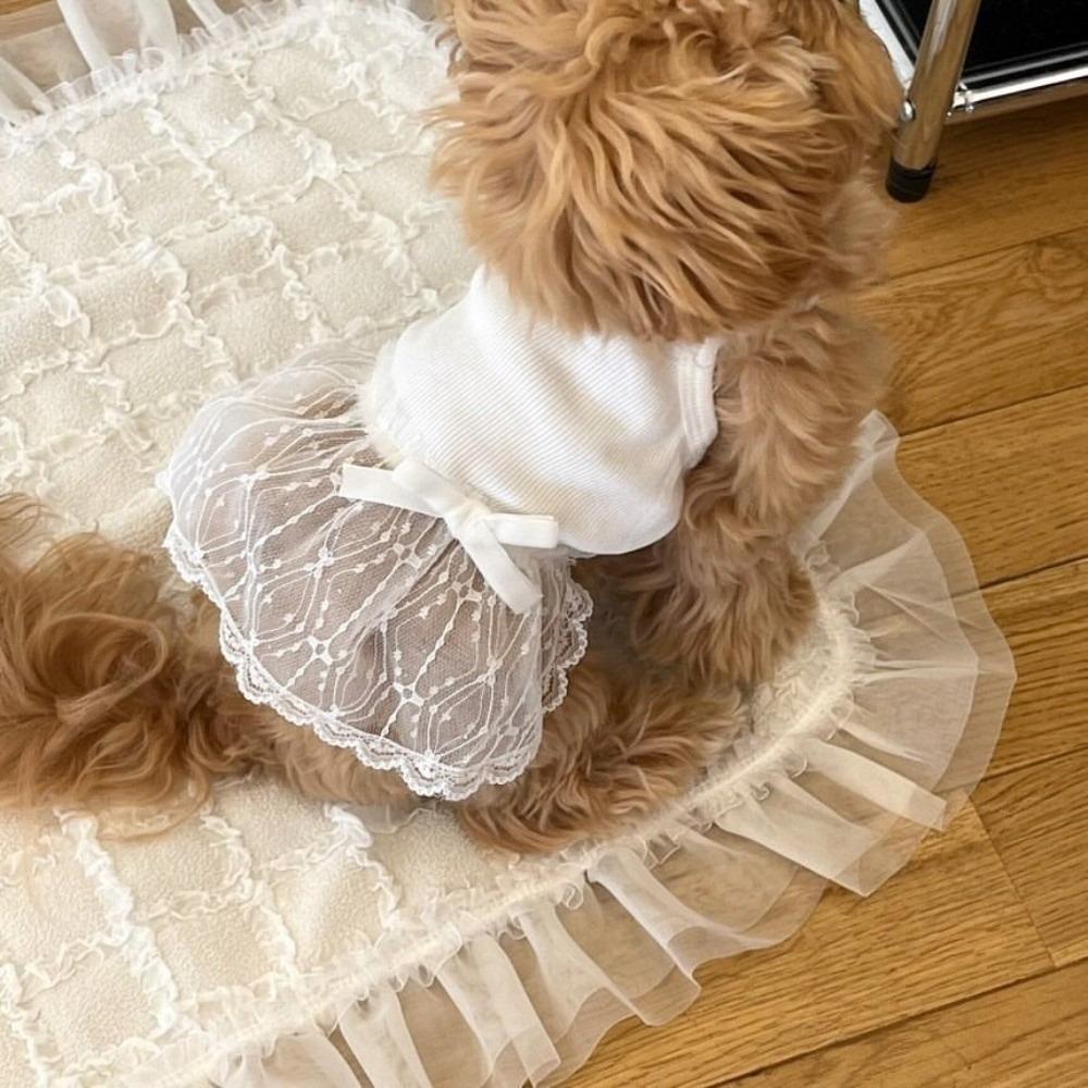 Princess Style Pet Dresses Lace Detail Pet Vest Princess Dog Skirts For Dogs