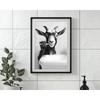 Brushing Teeth Animal Art Poster Lion Monkey Horse Rabbit Dog Cat Eagle Funny Bathroom Wall Stickers Bathroom Animals Home