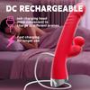 Rabbit Vibrator Realistic Dildo Sex Toys for Women 10 Vibration G Spot Clitoral Vibrators Stimulator Sextoy for Adults Goods