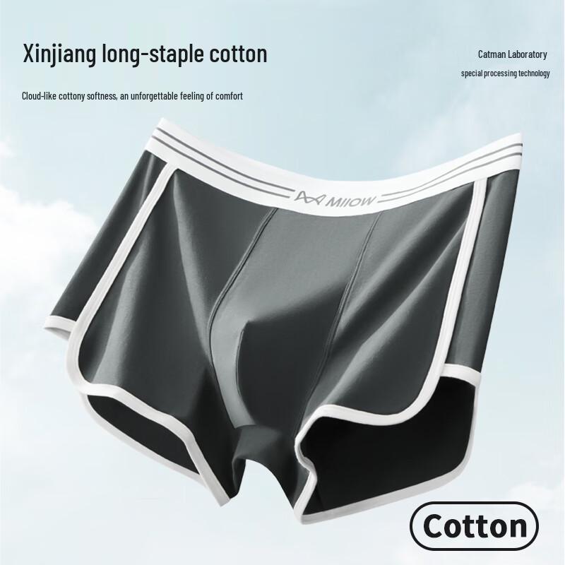 Men's Cotton Boxer Briefs (2-Pack)