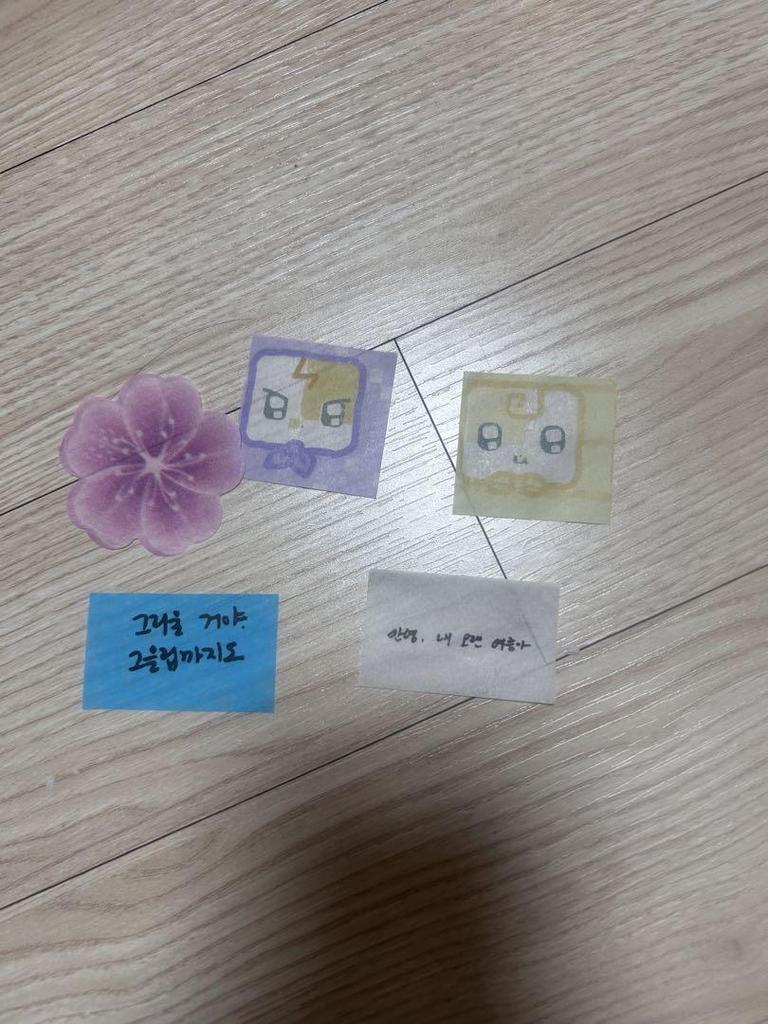 [USED] IU Fan Meeting Admission Bonus Goods Korea