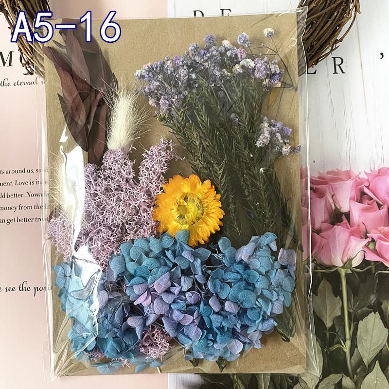 Exquisite Eternal Dry Flower Ancient Style Group Fan Material Pack for Children's Handmade Exclusive Decoration Dried Flowers