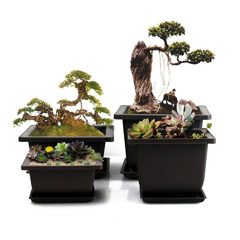 Plastik Bonsai Eğitim Saksıları Çiçek Bitki Fidanlık Saksısı Saksı Balkon Bahçe Kullanımı