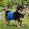 Breathable Dog Physiological Pants High Absorbing Leak-proof Pet Underwear Comfortable Washable Canine Hygiene Band Heat Season